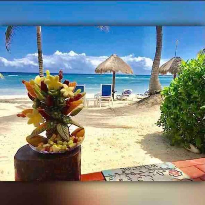 Beachfront Akumal Half Moon Bay Екстер'єр фото